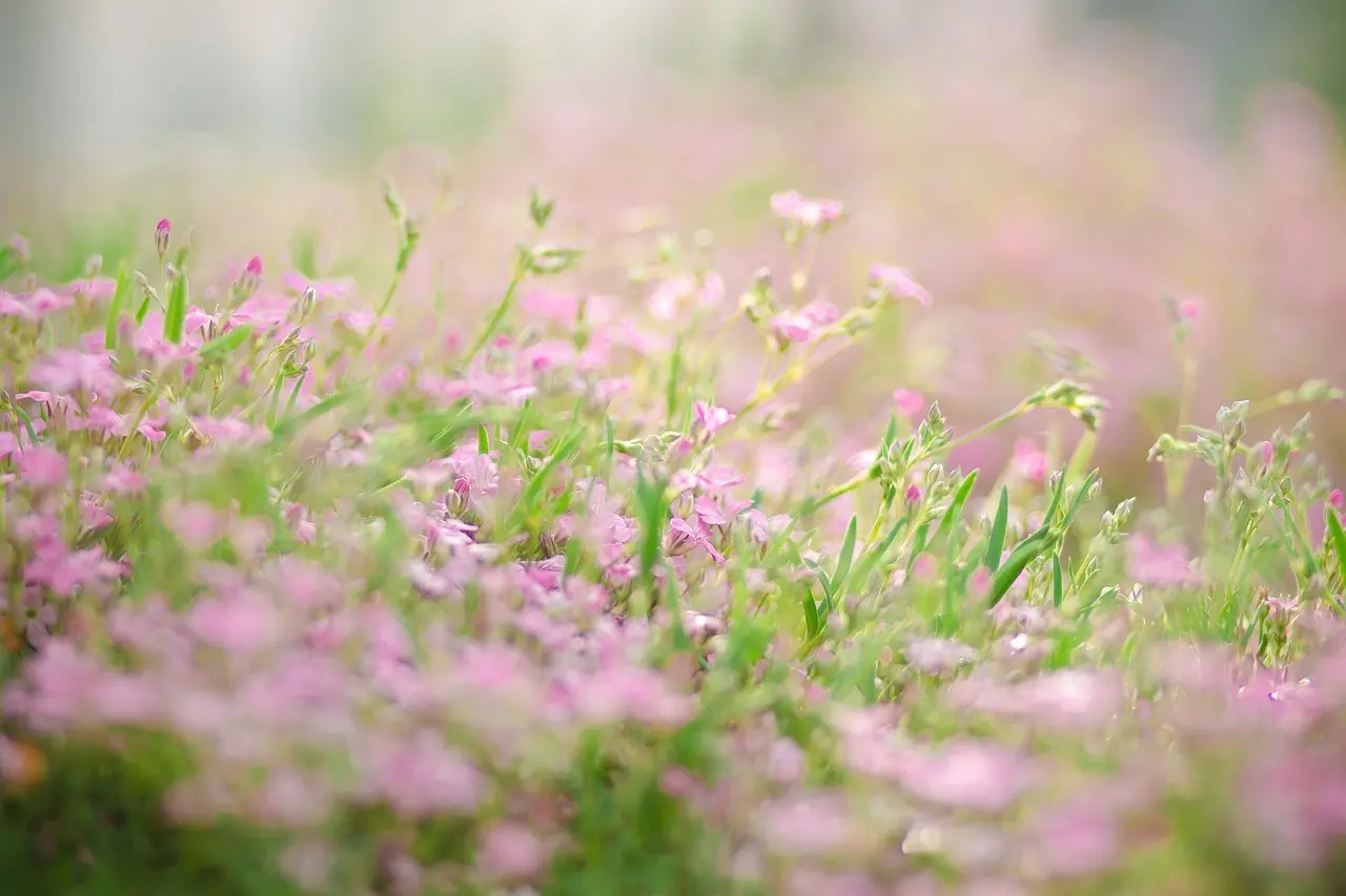 Multifunktionelle møbler: Gør hjemmet fleksibelt uden at gå på kompromis med stilen