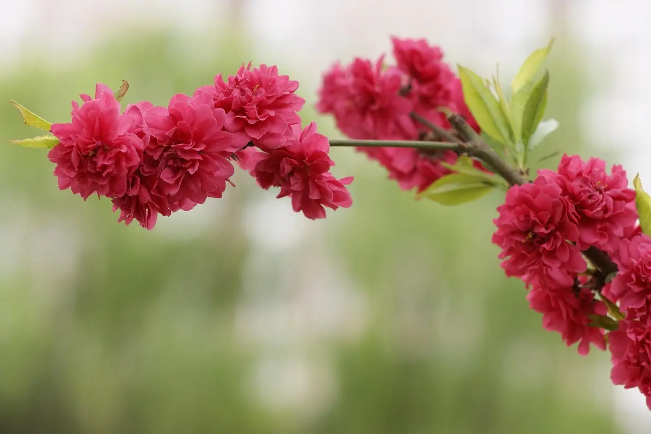 Sådan håndterer du opkald fra 63105986-telefonnummeret på en rolig og praktisk måde